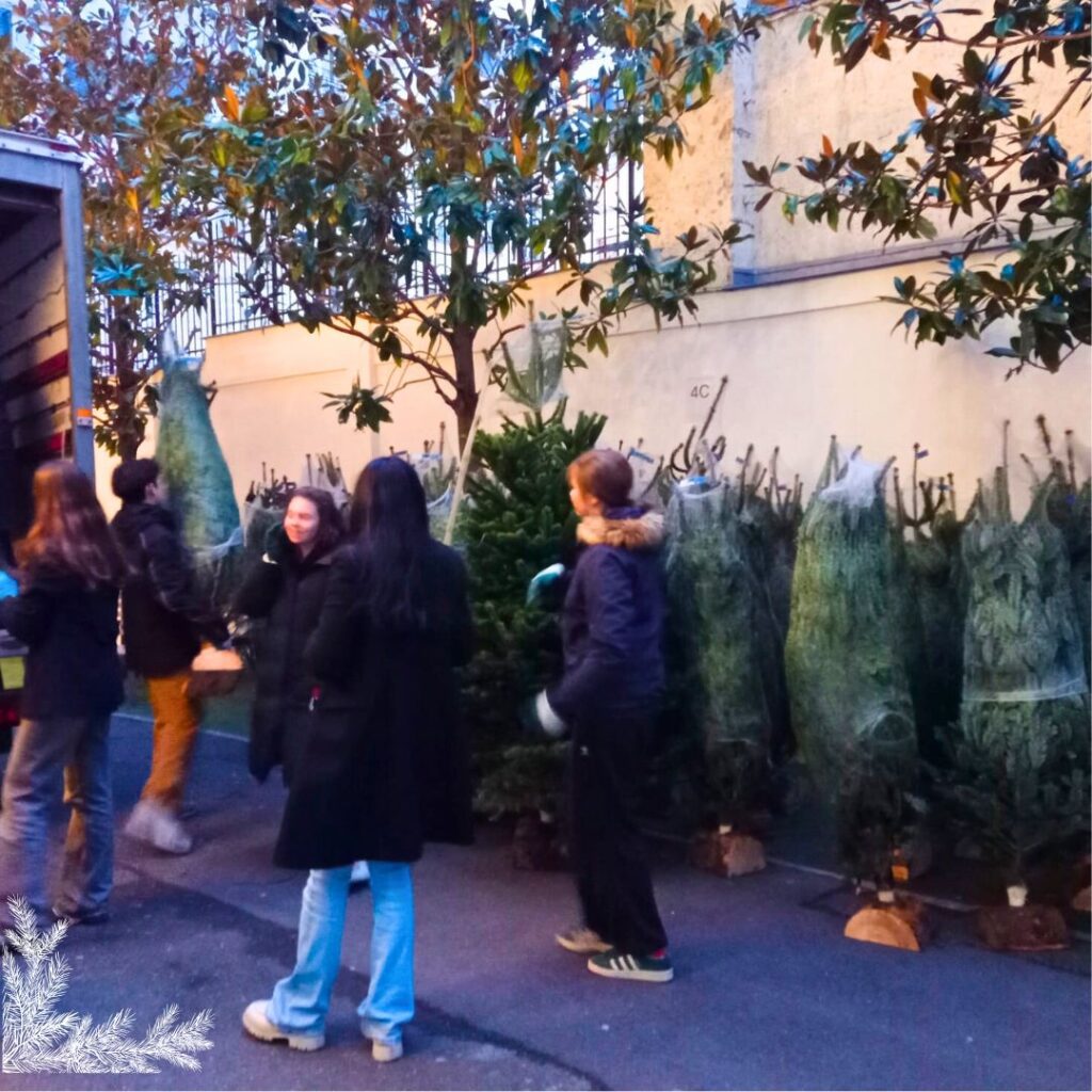 APEL : opération Sapins